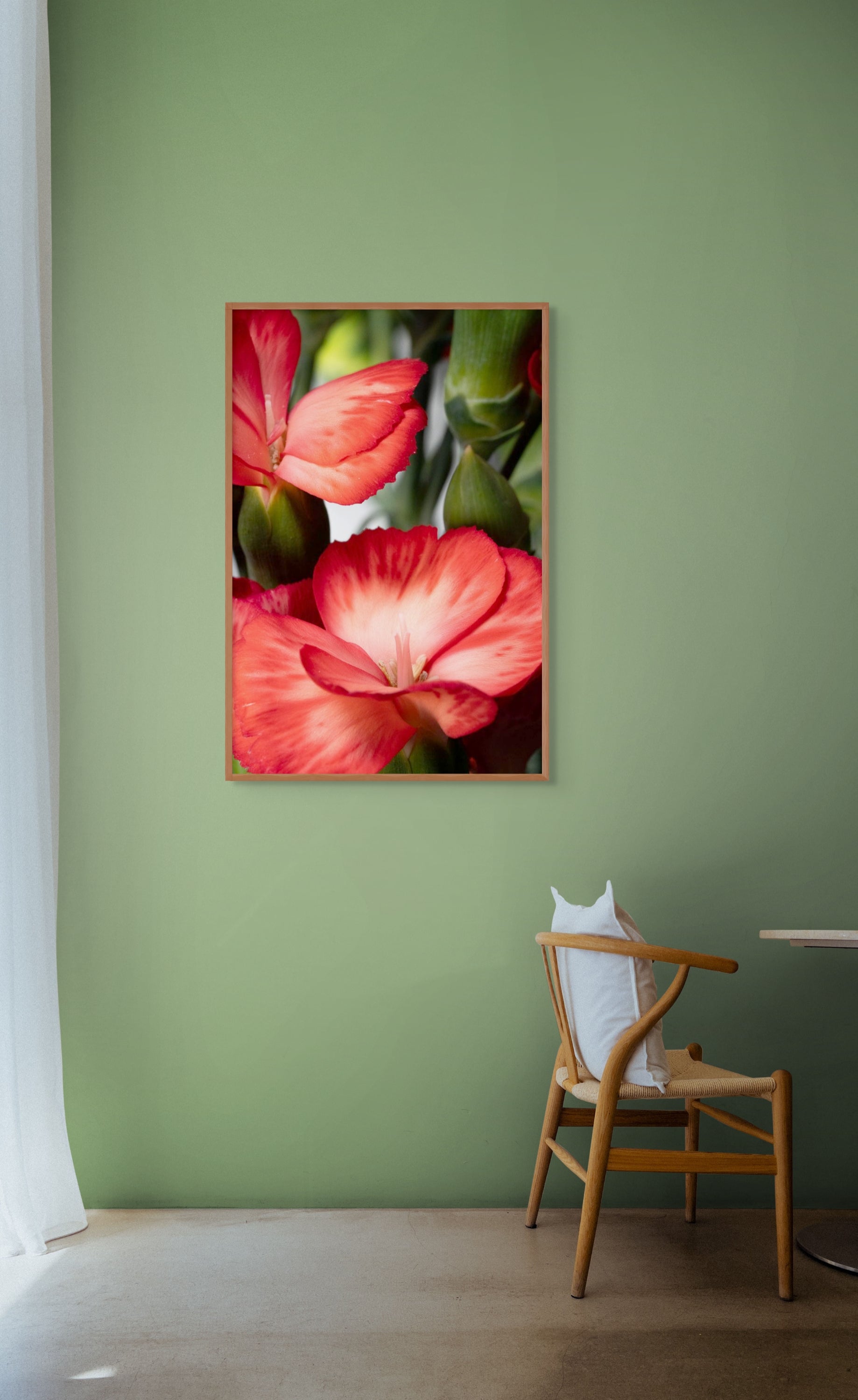 mock up Dianthus caryophyllus als Fine Art Print mit Tiefenwirkung