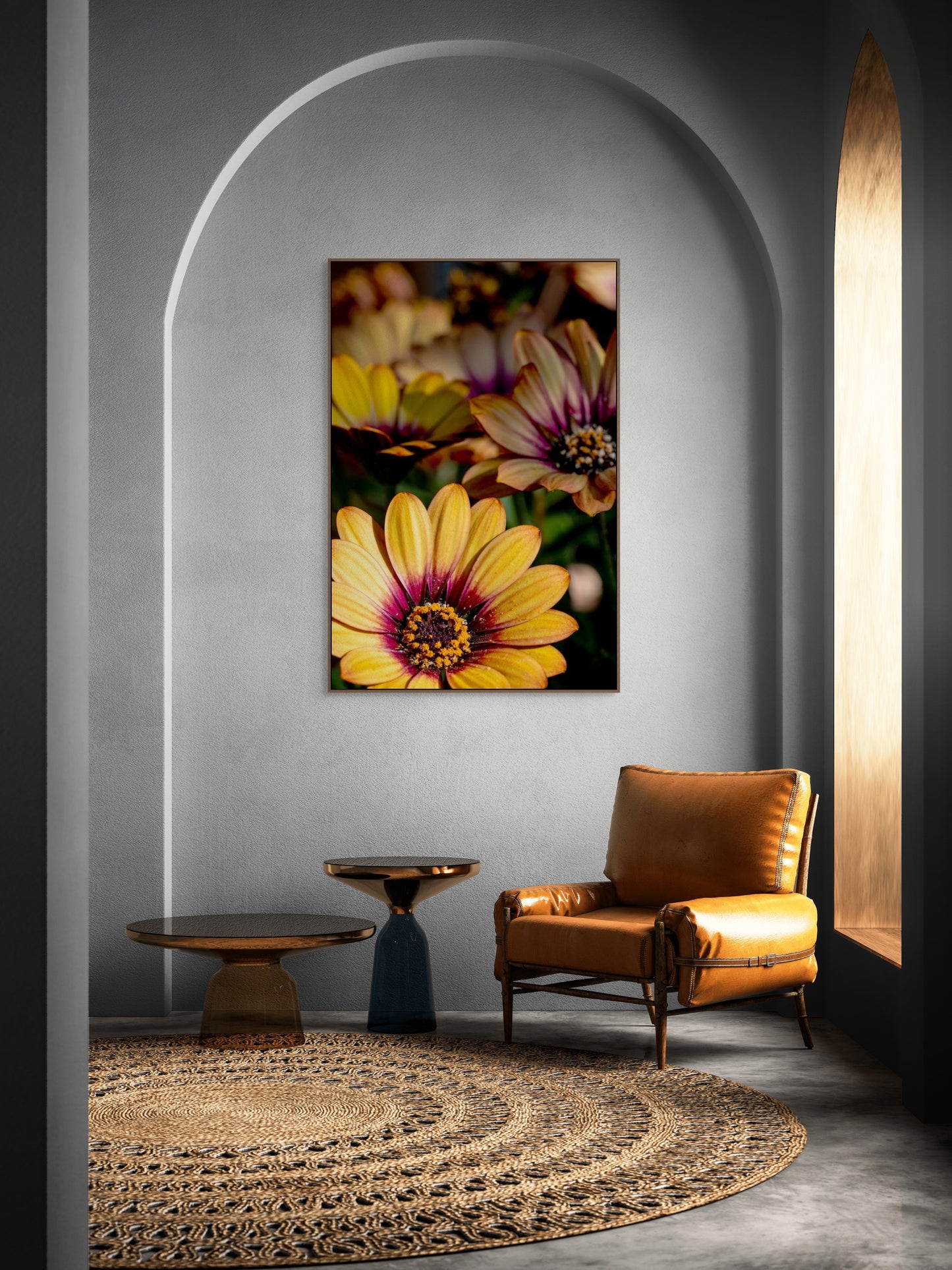 Südafrikanische Sonne - Osteospermum